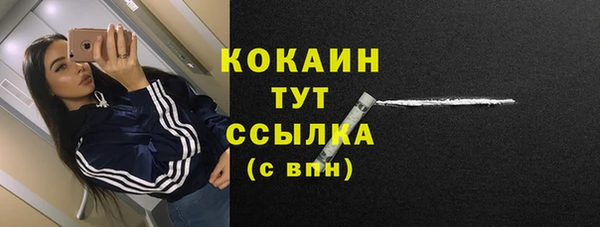 мескалин Арсеньев