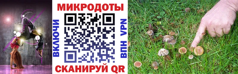 Псилоцибиновые грибы Cubensis  mega ссылки  Омск  где продают наркотики 
